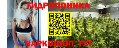 спайс Гатчина