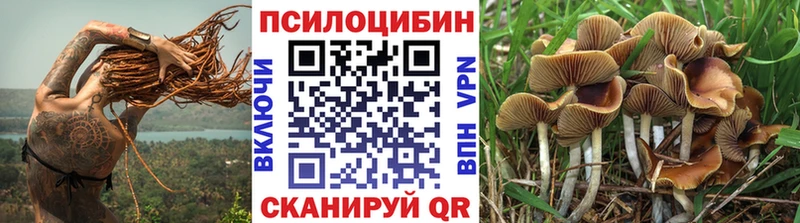 Псилоцибиновые грибы Psilocybe Каспийск
