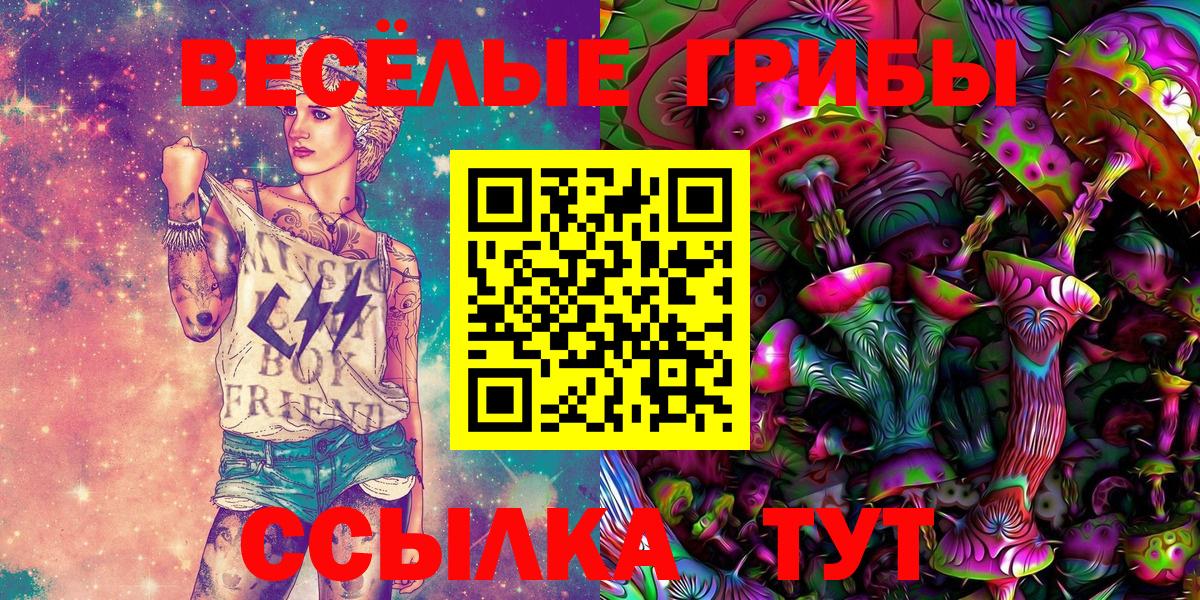 Галлюциногенные грибы Cubensis Каспийск
