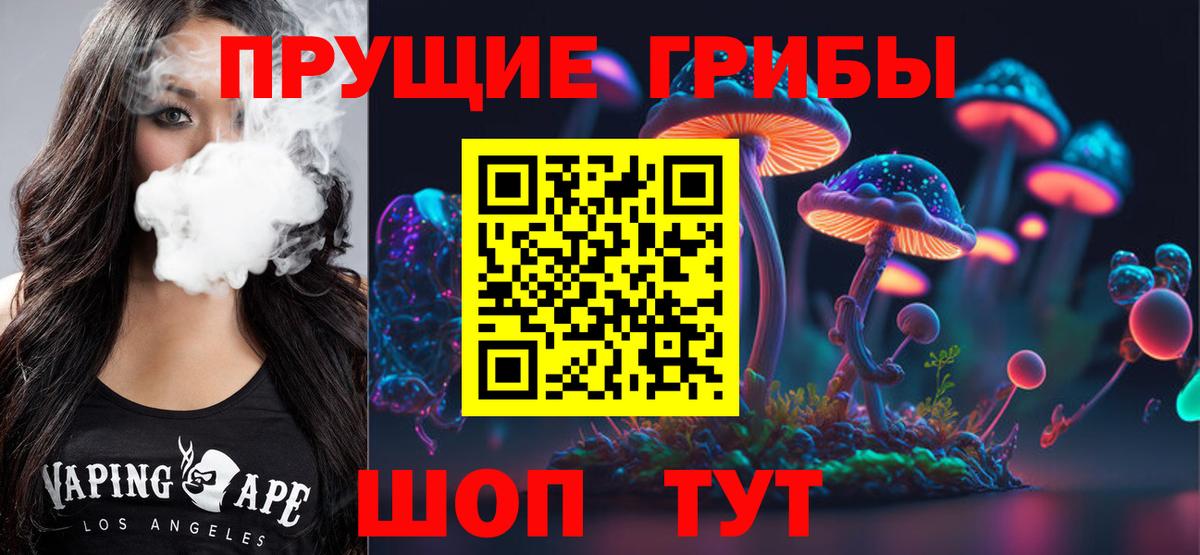 Галлюциногенные грибы GOLDEN TEACHER  купить  сайты  Вход с VPN  Каспийск  Псилоцибиновые грибы мухоморы 